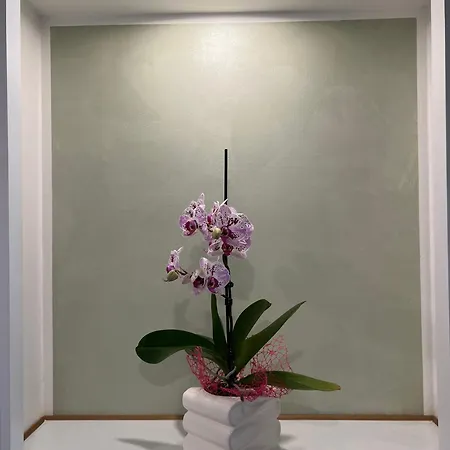 Casa Di Faby - Welcome * Sanremo