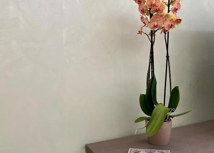 Casa Di Faby - Welcome