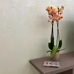 Casa Di Faby - Welcome