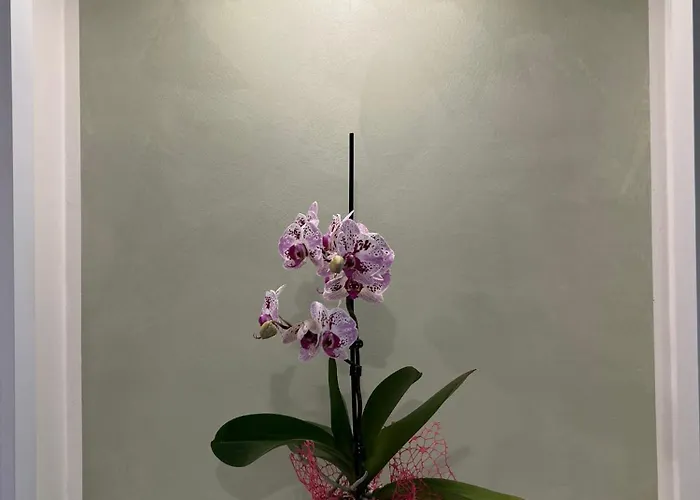 Casa Di Faby - Welcome * San Remo